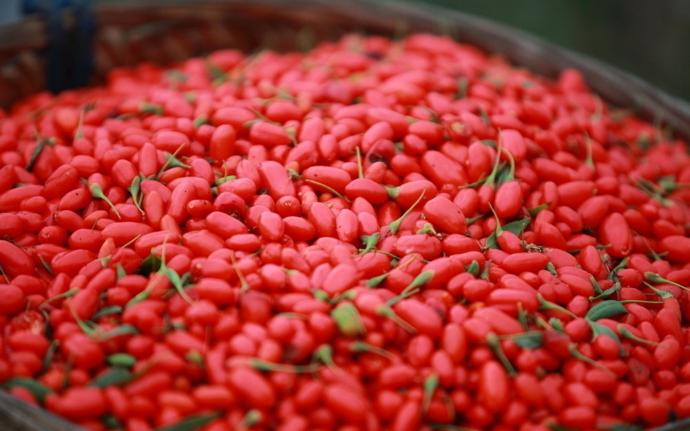 轵ˎÃr(ji)ֵ