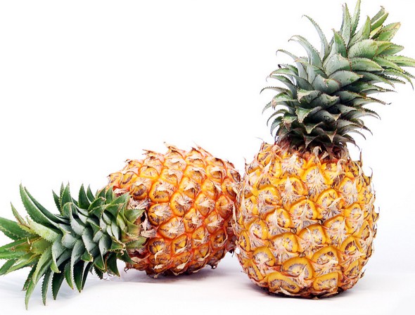 ˮʲôrԲ